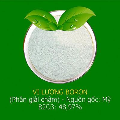 fv88 top-F150-Lighting-khoang-lai